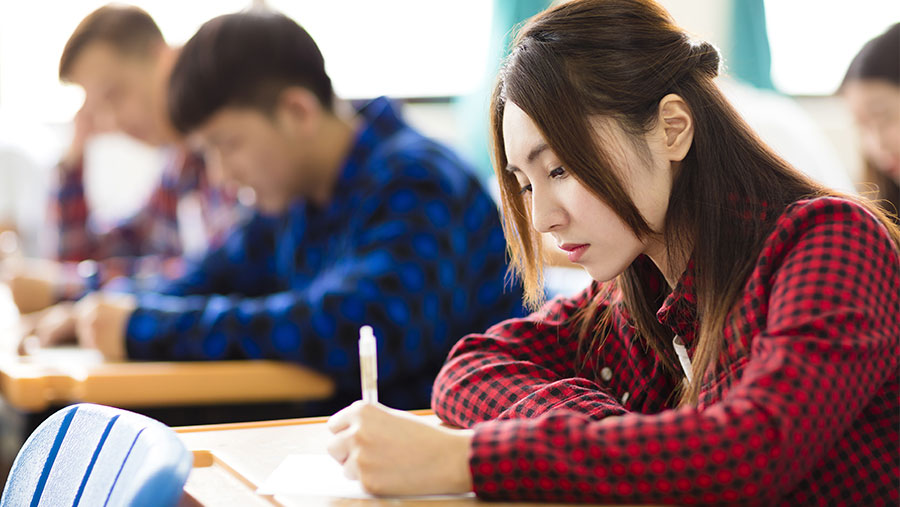 Students studying