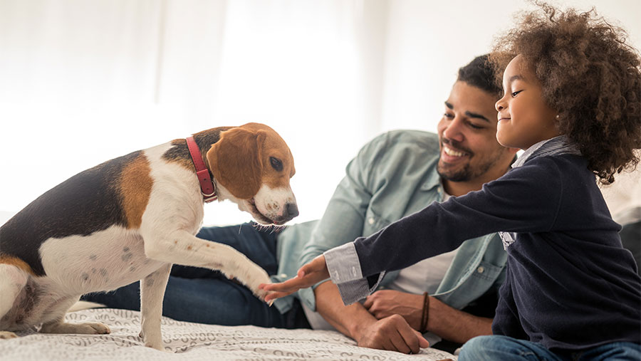 Family playing with dog