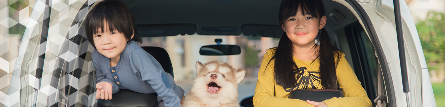 [Kids with a dog in the backseat of a car]
